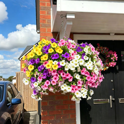 💥Last Day50% OFF💥UV Resistant Artificial Petunias Flowers