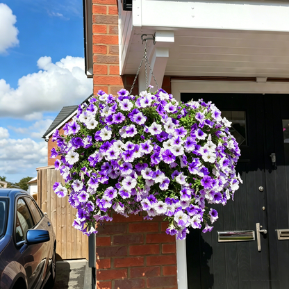 💥Last Day50% OFF💥UV Resistant Artificial Petunias Flowers