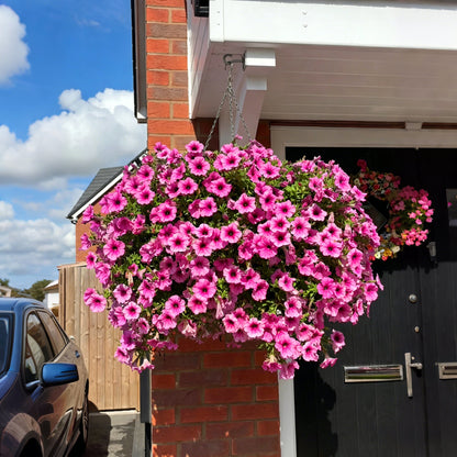 💥Last Day50% OFF💥UV Resistant Artificial Petunias Flowers