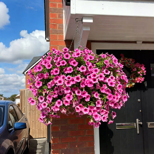 💥Last Day50% OFF💥UV Resistant Artificial Petunias Flowers