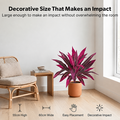 🎁  Last Day 50% OFF - Artificial Boston Fern & Dragon's Blood Tree Plants