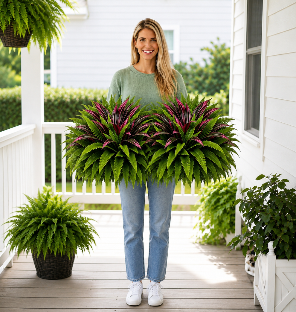 🔥LAST DAY SPECIAL 50% 🌿UV-Resistant Artificial Fern & Red Dracaena Decorative Plants – Full, Lush & Fade-Resistant!
