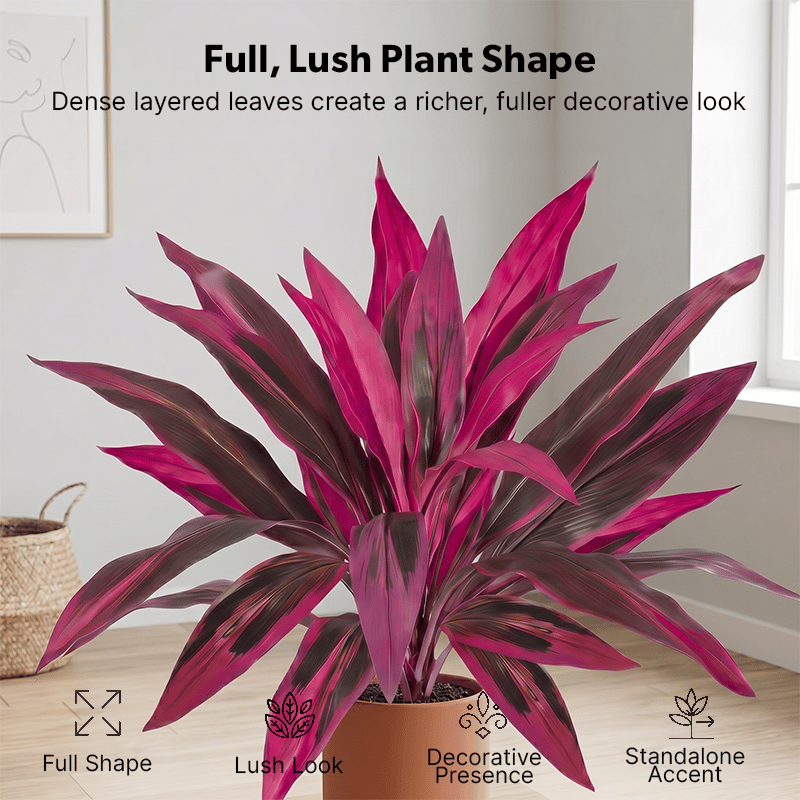 🎁  Last Day 50% OFF - Artificial Boston Fern & Dragon's Blood Tree Plants