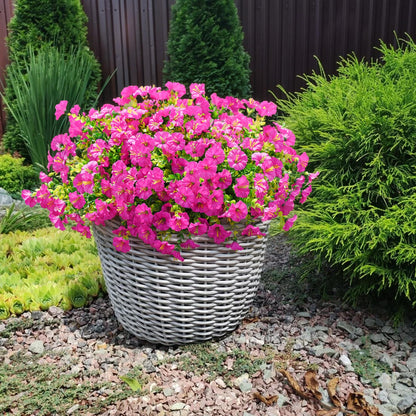 💥Last Day50% OFF💥UV Resistant Artificial Petunias Flowers