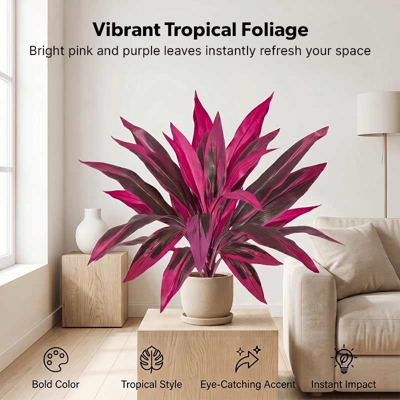 🎁  Last Day 50% OFF - Artificial Boston Fern & Dragon's Blood Tree Plants