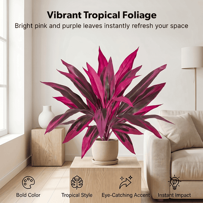 🎁  Last Day 50% OFF - Artificial Boston Fern & Dragon's Blood Tree Plants