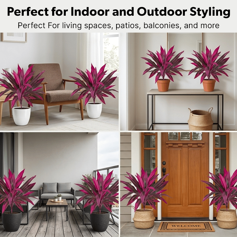 🎁  Last Day 50% OFF - Artificial Boston Fern & Dragon's Blood Tree Plants